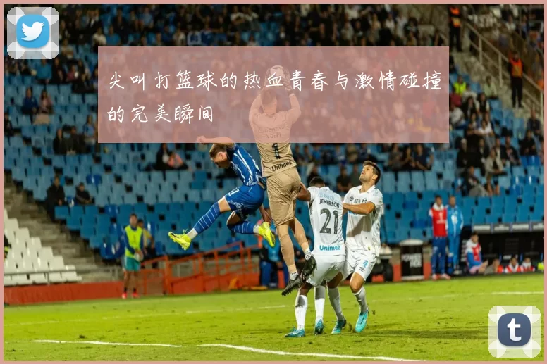 尖叫打篮球的热血青春与激情碰撞的完美瞬间