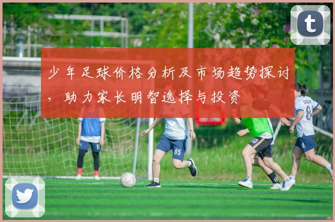 少年足球价格分析及市场趋势探讨，助力家长明智选择与投资