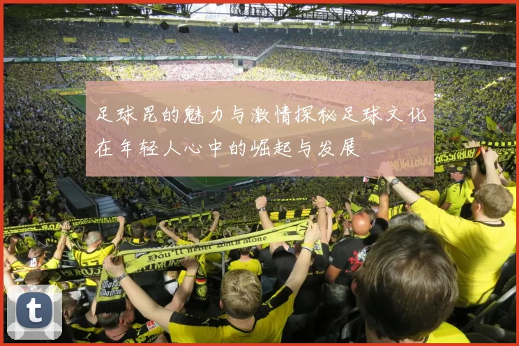 足球昆的魅力与激情探秘足球文化在年轻人心中的崛起与发展